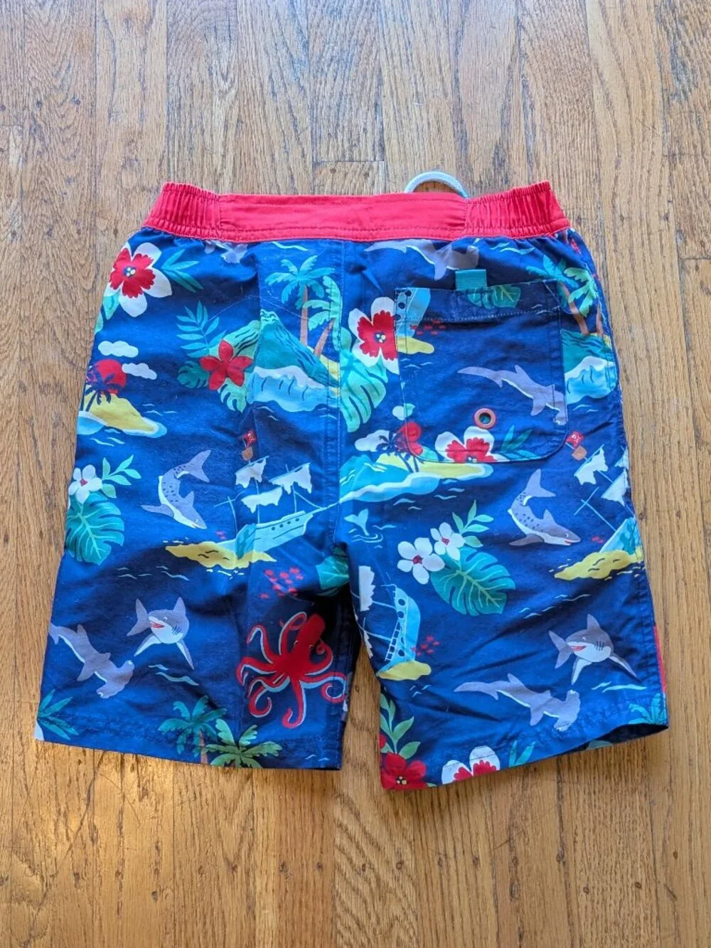 Mini Boden Swim Trunks